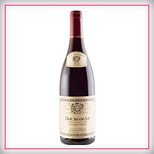 Bourgogne Rouge, Pinot noir Louis Jadot