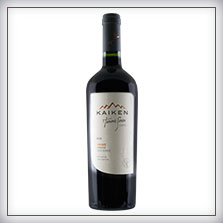 Kaiken Bonarda Petit Verdot